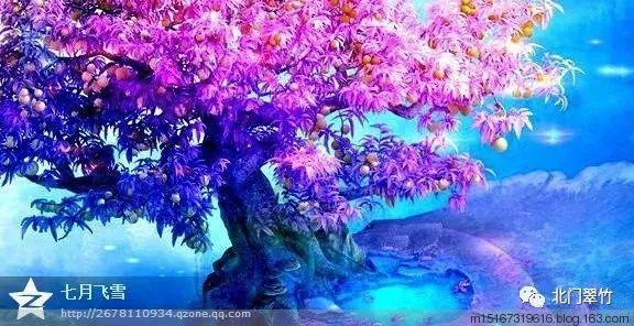 伊能静因点评委屈哭泣,事后发文向赵兆道歉,但配图却是认真的?